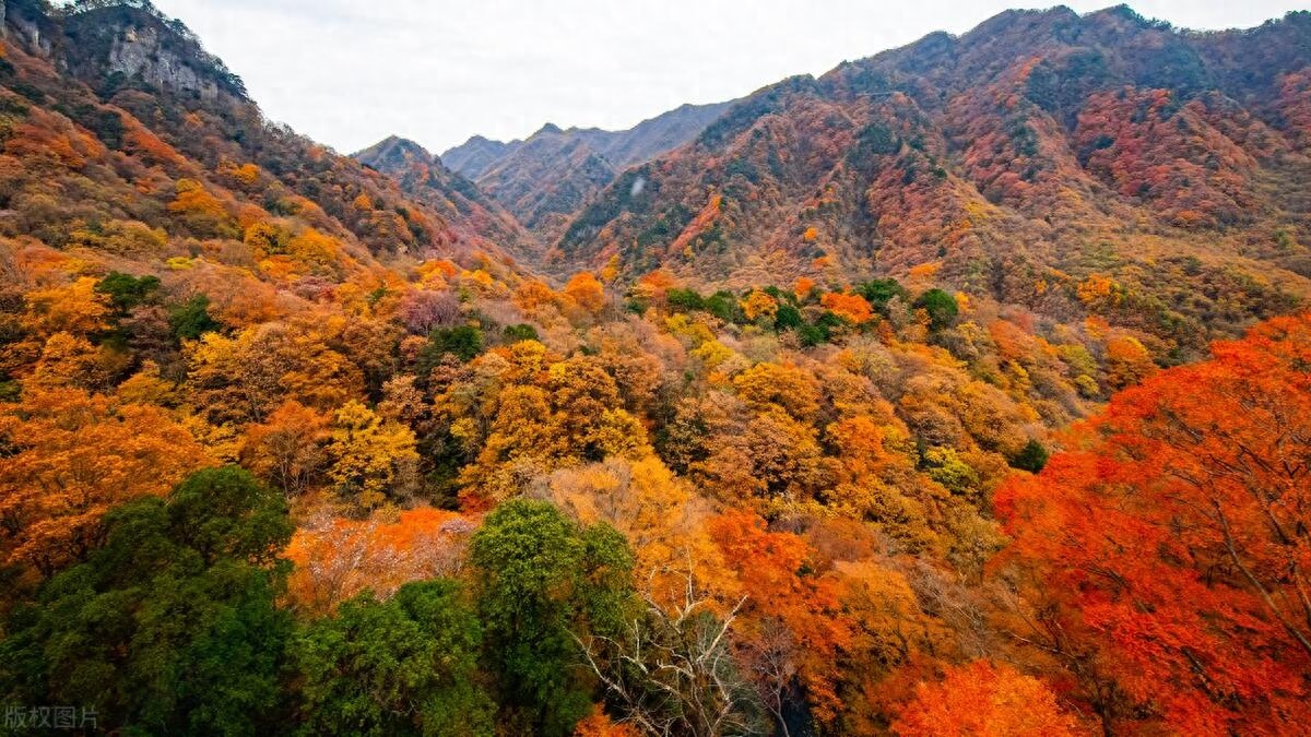 中国最美20个秋景，绝美赏秋圣地，看看哪一个你还未曾去过